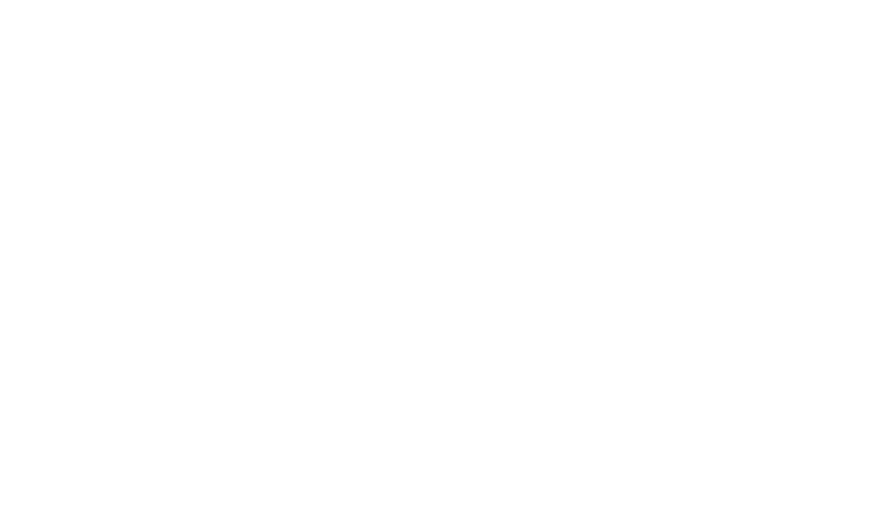 the Rise : Kingdom under fire