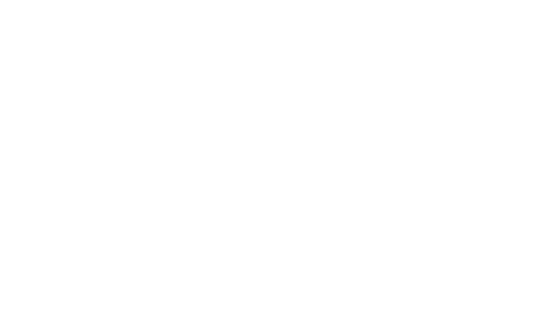 the Rise : Kingdom under fire